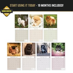 Pomeranian Dog Breed Calendar 2025 FULL SIZE 12×24 Made in USA