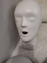 PROMPT CPR Training Manikins Practice Dummy 5 Lot w/ Carry Case