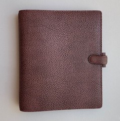 Filofax A5 Finsbury Leather Planner in Hard-to-Find Antique Rose Leather – RARE