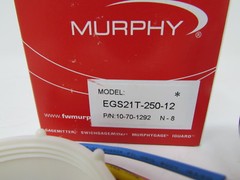 NEW MURPHY ELECTRIC TEMPERATURE SWICHGAGE EGS21T-250-12 10701292