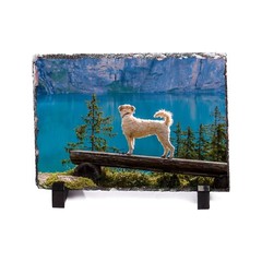 15 Pack 7.87″x11.8″ Sublimation Photo Slate Rock Plaque Blanks w/ Holder