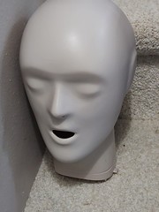 PROMPT CPR Training Manikins Practice Dummy 5 Lot w/ Carry Case