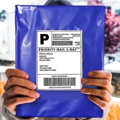 100 10×13 Poly Mailers Envelopes Self Sealing Shipping Mailer Purple POLYSELLS