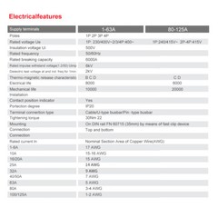 GEYA Solar DC Mini Circuit Breaker 1/2P MCB 6/10/16/25/32/40/50/63/80/100/125Amp