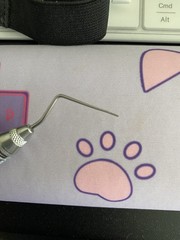 Hu Friedy Endodontic Cassette