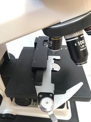 Nikon Alphaphot 2 YS2 Binocular Compound Microscope Lab Scope 4 lenses