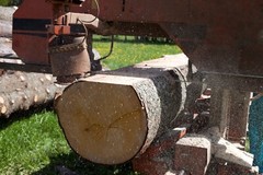 1.25″ x .042 x 7/8 Sawmill Bandsaw Blades for Portable Sawmills (Customizable)