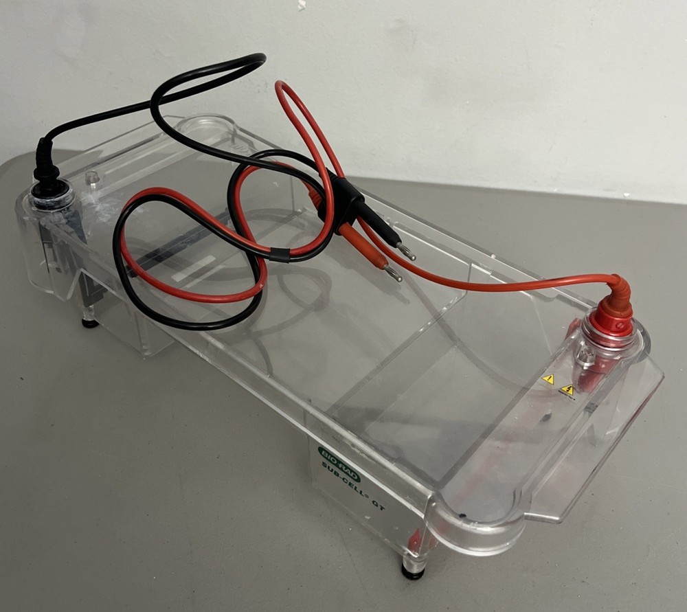 Bio-Rad Sub Cell GT Basic Horizontal Electrophoresis Systems- Working