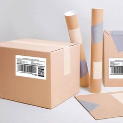 20ROLLS 62mmx100mm Shipping Label 2-3/7″ x 4″ Compatible Brother QL-500 DK-1202