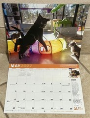 2027 Best Friends ‘Save Them All’ Wall Calendar ~ 10 7/8 x 8.5 ~New