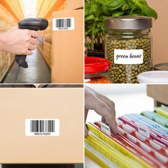 12 Rolls Thermal Shipping Labels (12,000 Labels) – 2.25 X 1.25 Inch Direct Therm