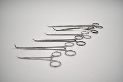 QTY 6: V. Mueller Surgical Medical Instruments Various Sized Forceps As Listed