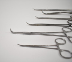 QTY 6: V. Mueller Surgical Medical Instruments Various Sized Forceps As Listed
