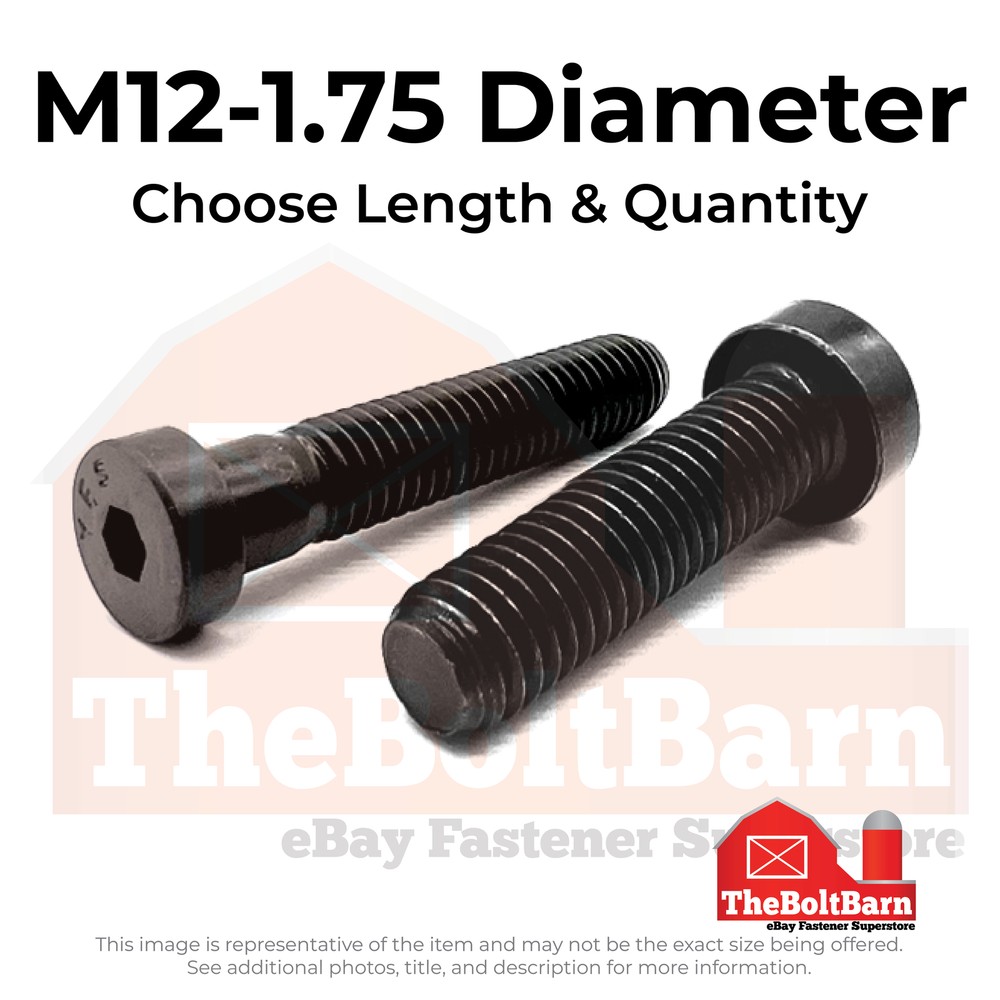 M12-1.75 Class 10.9 Low Socket Head Cap Screws Black Oxide (Pick Length & Qty)