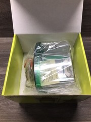 Bio-Rad Mini-PROTEAN Tetra Cell 2-Gel Vertical Electrophoresis System 1658005