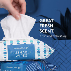Member’s Mark Flushable Wipes, Scented, 540 Count – Hypoallergenic Fresh Scent