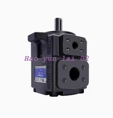 1PC New For YLC PV2R1-31RAF1 Variable Vane Pump 31ml/r 21MPA 1450r/min
