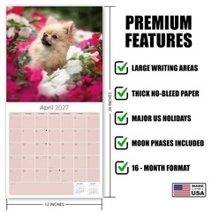Pomeranian Dog Breed Calendar 2025 FULL SIZE 12×24 Made in USA