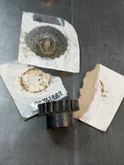 MARTIN WORM GEAR WHEEL 12 PITCH 20 TEETH 20:1 RATIO SINGLE LEAD 1/2” BORE