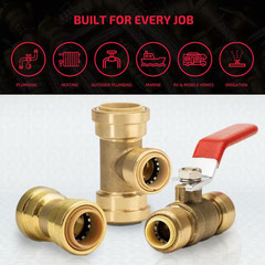 1/2 In. Push-To-Connect Brass Polybutylene Conversion Coupling Fitting