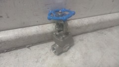 Sharpe 4371004100 3/4 In Valve Size 316L Stainless Steel Body Gate Valve