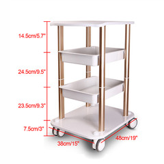 Beauty Salon Trolley Esthetician SPA Equipment Storage Stand Trolley Cart 360??