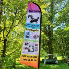 Anley Custom Feather Flag – Print Your Logo/Design Commercial Advertising Banner