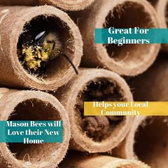 Mason Bee House Nesting Paper Cardboard Tubes Refill Inserts Beekeepers 120PK