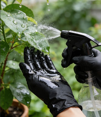 Heavy Duty Black Latex Gloves 5mil Disposable Powder-Free Food Safe