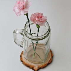 Unfinished Natural with Tree Bark Wood Slices 10 Pcs 10pcs 4.2-4.7inch