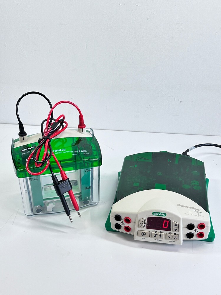 BIO-RAD PowerPac Basic Electrophoresis Power Supply w/ Mini Protean Tetra Cell