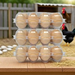 Durable Shatterproof Egg Cartons – 50-Pack 12-Count for Safe Transportation