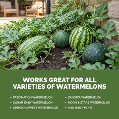 Liquid Watermelon Fertilizer for Bigger Melons, Vines & Strong Roots, 8 oz