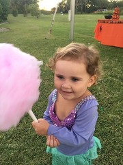 Concession Essentials Cotton Candy Cones- Pack of 100ct Cotton Candy Cones. Whit