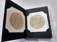 Ishihara Test Book for Color Deficiency 24 plates for COLOR BLINDNESS USA SELLER