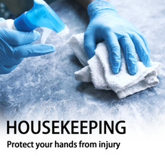 Disposable Vinyl Gloves, Latex-Free Powder-Free Blue Plastic Gloves1000pcs