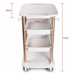 Beauty Salon Trolley Esthetician SPA Equipment Storage Stand Trolley Cart 360??