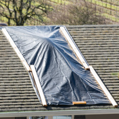 Farm Plastic Supply – Black Crawl Space Vapor Barrier – 6 mil