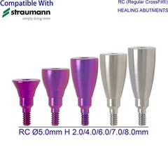 US Dental Healing Abutment Closure Fit Straumann ITI Mini Regular
