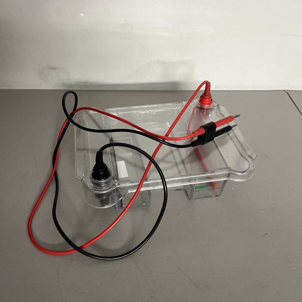 Bio-Rad WIDE Mini Sub Cell GT Basic Horizontal Electrophoresis Systems