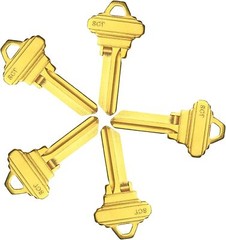 50PCS SC1 KEY BLANKS FOR LOCKSMITH FITS SC1KSET BRASS FINISH SC1 KEY BLANK