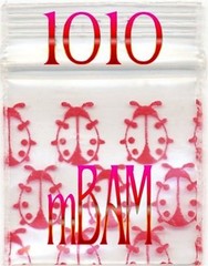 100 PACK PIGGY BANKS 125125 APPLE MINI ZIP BAGGIES 1.25×1.25″
