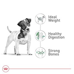 Royal Canin Size Health Nutrition Small Adult Dry Dog Food, 30 lb Bag