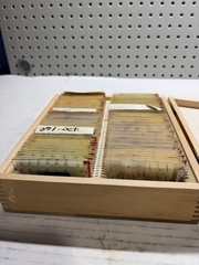 Vntg Prepared Microscope Slides & Clay Adams Case & Penis, Testes, Glands. 90+