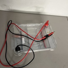 Bio-Rad WIDE Mini Sub Cell GT Basic Horizontal Electrophoresis Systems