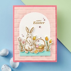 E3D-080 Woven 3D Embossing Folder from the Spring Sampler Collection by Simony