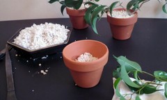 PERLITE 2 gallons MEDIUM COURSE (FAST SHIP) NURSERY GARDEN PLANTS SEED STARTING