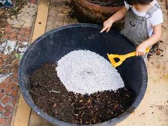 PERLITE 2 gallons MEDIUM COURSE (FAST SHIP) NURSERY GARDEN PLANTS SEED STARTING