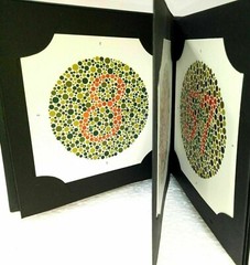 14 Plate Ishihara Test Book for Color Blindness With Free Shipping