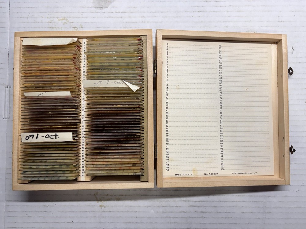 Vntg Prepared Microscope Slides & Clay Adams Case & Penis, Testes, Glands. 90+